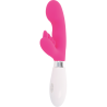 Glossy - Lapin Elvis Rose